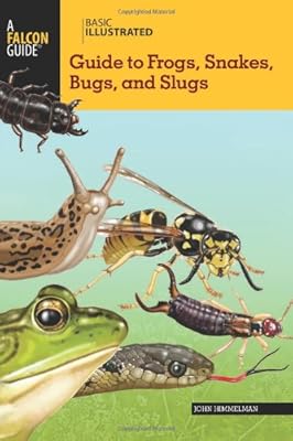 Basic Illustrated Guide to Frogs, Snakes, Bugs, and Slugs