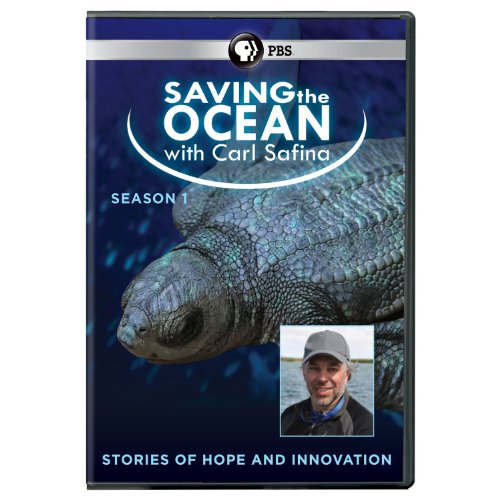 Saving the ocean with Carl Safina. / Season 1 by Nova