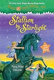 Stallion by Starlight