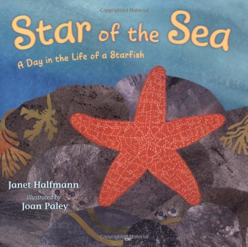 Star of the Sea: A Day in the Life of a Starfish by Janet Halfmann
