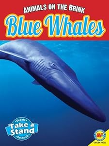 Blue Whales by Patricia Miller-Schroeder