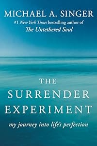 The Surrender Experiment: My Journey into Life's Perfection