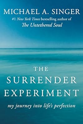 The Surrender Experiment: My Journey into Life's Perfection