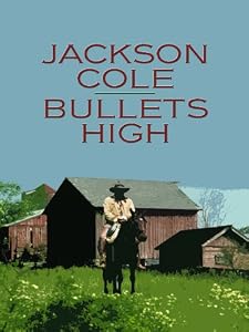 Bullets High (Wheeler Large Print Western)