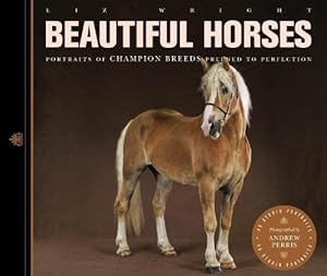 Beautiful Horses