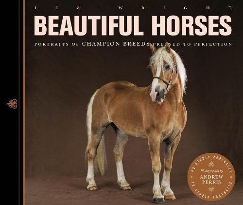 Beautiful Horses by Liz Wright