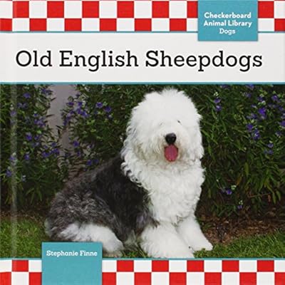 Old English Sheepdogs