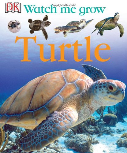 Watch Me Grow: Turtle by DK Publishing