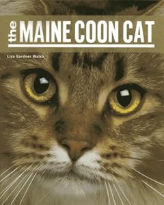 The Maine Coon Cat