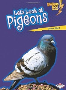 Let's Look at Pigeons