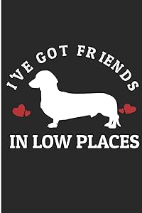 I 'Ve Got Friends in Low Places: Dachshund Dog Blank Lined Note Book