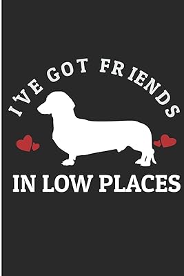 I 'Ve Got Friends in Low Places: Dachshund Dog Blank Lined Note Book