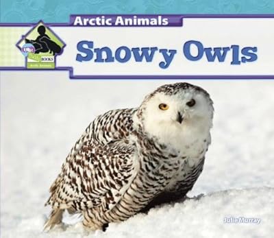 Snowy Owls