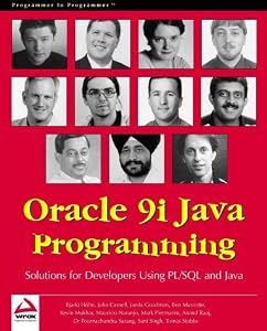 Oracle 9i Java Programming: Solutions for Developers Using PL/SQL and Java by Bjarki Holm