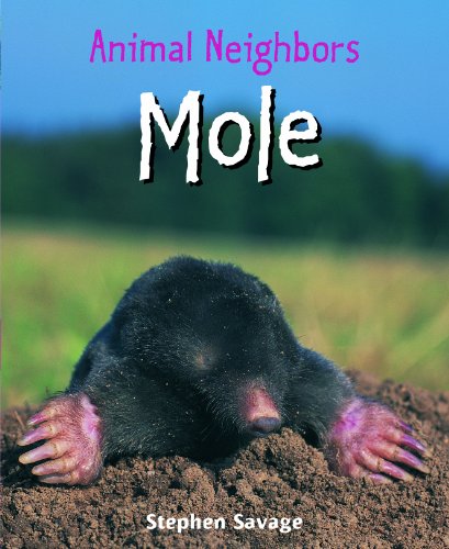 Mole by Stephen Savage