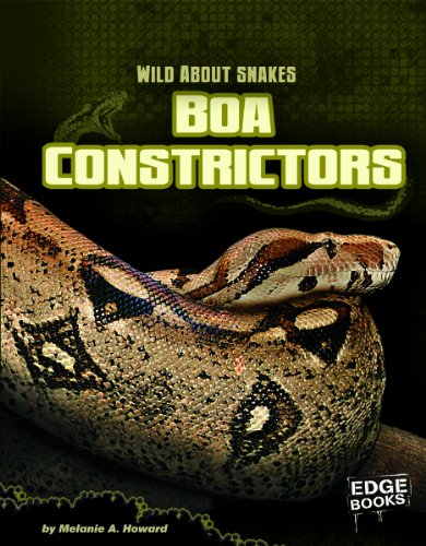 Boa Constrictors by Melanie A. Howard