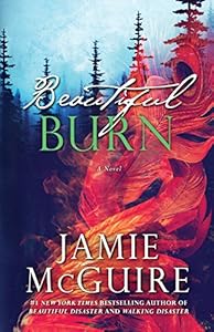 Beautiful Burn: A Novel