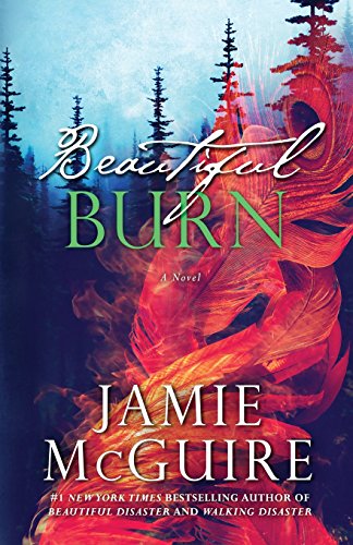 Beautiful Burn: A Novel by Jamie McGuire