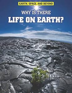 Why Is There Life on Earth?