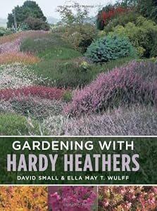Gardening with Hardy Heathers