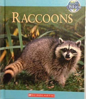 Raccoons