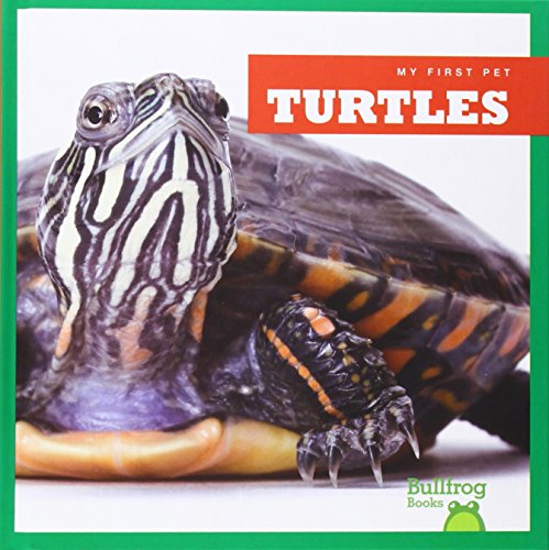 Turtles by Cari Meister