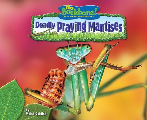 Deadly Praying Mantises (No Backbone! the World of Invertebrates) by Meish Goldish
