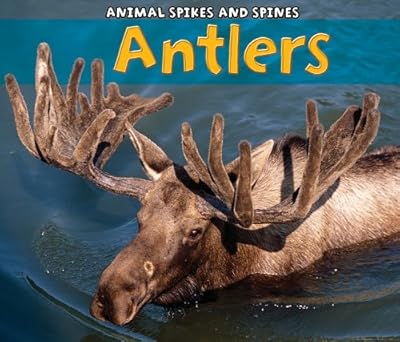 Antlers (Animal Spikes and Spines)