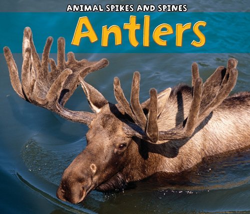 Antlers (Animal Spikes and Spines) by Rebecca Rissman