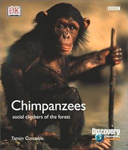 BBC/Discovery: Chimpanzees