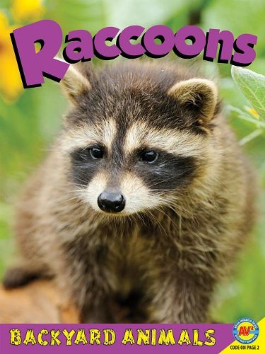 Raccoons with Code by Jennifer Hurtig