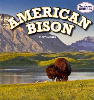 American Bison by Meryl Magby