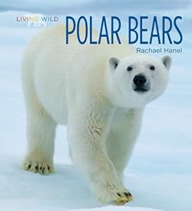 Polar Bears by Rachael Hanel