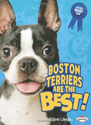 Boston Terriers Are the Best!