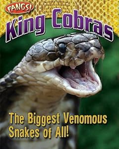 King Cobras: The Biggest Venomous Snakes of All!
