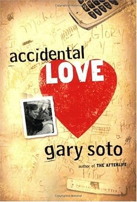 Accidental Love