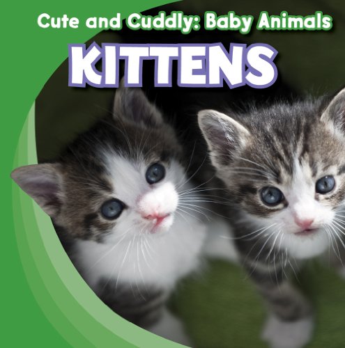 Kittens by Grace Elora