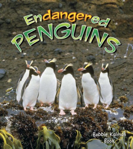 Endangered Penguins (Earth's Endangered Animals) by Bobbie Kalman