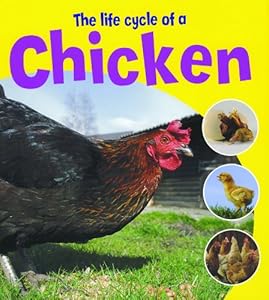 The Life Cycle of a Chicken (Learning About Life Cycles)
