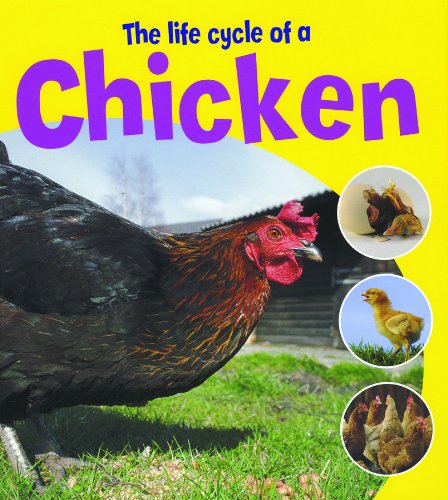 The Life Cycle of a Chicken (Learning About Life Cycles) by Ruth Thomson
