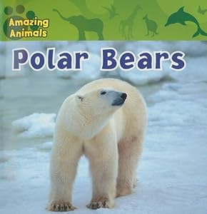 polar bears
