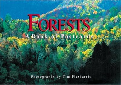 Forests: A Book of Postcards