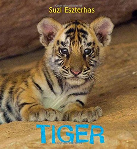 Tiger by Suzi Eszterhas