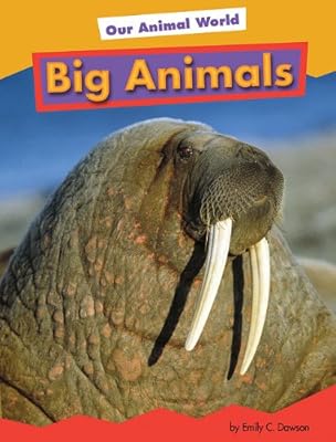 Big animals