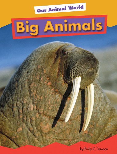Big animals by Heather Adamson