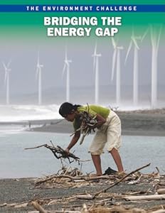 Bridging The Energy Gap (Freestyle Express: Environment Challenge)