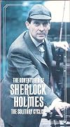 The Adventures of Sherlock Holmes: The Solitary Cyclist
