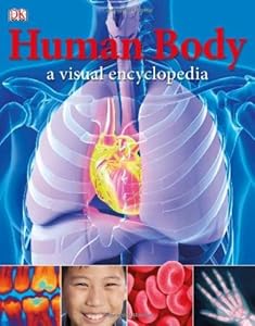 Human Body: A Visual Encyclopedia