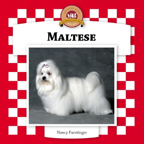 Maltese (Dogs Set VI) by Nancy Furstinger
