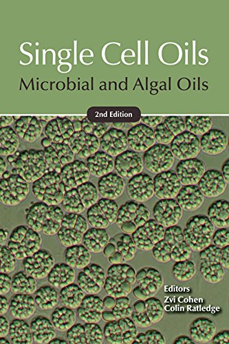 Single Cell Oils: Microbial and Algal Oils by Zvi Cohen